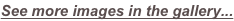 shapeimage_2_link_0