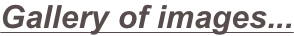 shapeimage_10_link_0